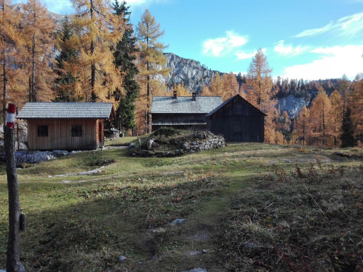 Ferienwohnung Wohlfahrter บัดมิทแทร์นดอร์ฟ ภายนอก รูปภาพ
